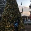 martha_14276